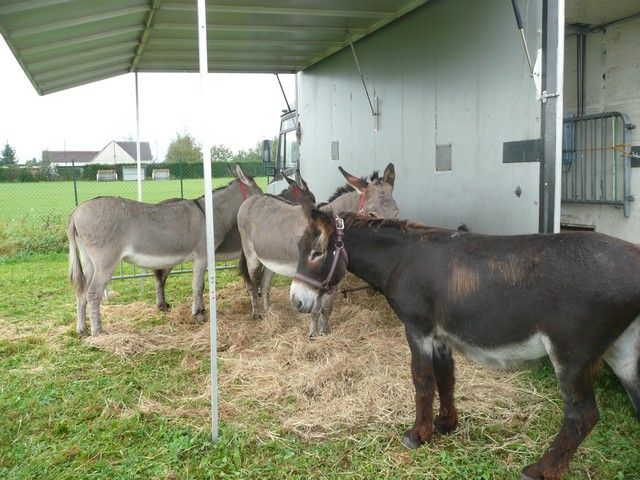 Ferolles (8).jpg